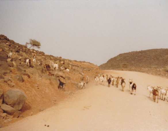Djibouti_0002